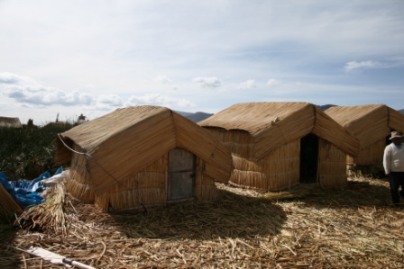 Houses on the Floating Island